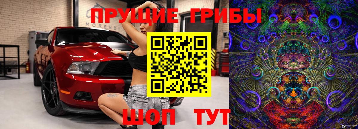 продажа наркотиков  Вход с VPN  Амурск  Галлюциногенные грибы Cubensis 