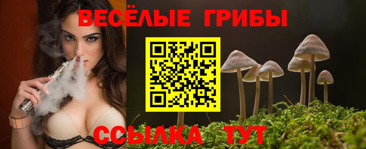 Галлюциногенные грибы прущие грибы Амурск